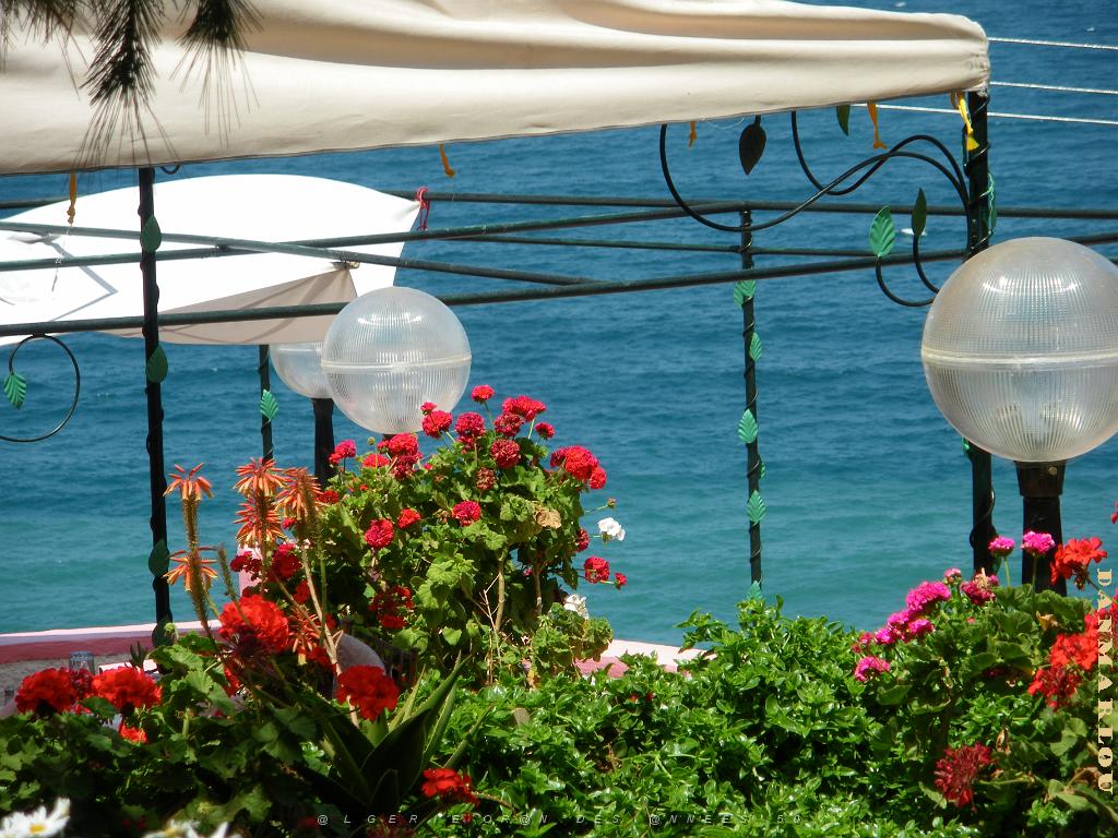 ORAN 2009 Restaurant a KRISTEL.JPG